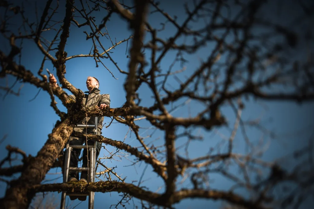 Ehmann-Gartengestaltung-0046