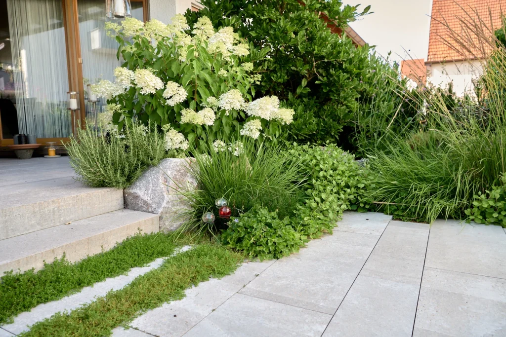 hecke_pflanzen-natur_stein-eiben_als_hecke-immergr_ne_str_ucher-sichtschutz_garten_mit_pflanzen-Ehmann-Gartengestaltung-0065