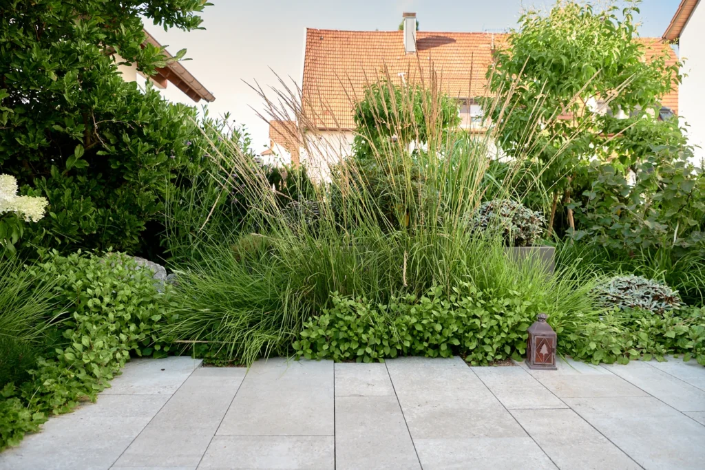 hecke_pflanzen-natur_stein-eiben_als_hecke-immergr_ne_str_ucher-sichtschutz_garten_mit_pflanzen-Ehmann-Gartengestaltung-0069