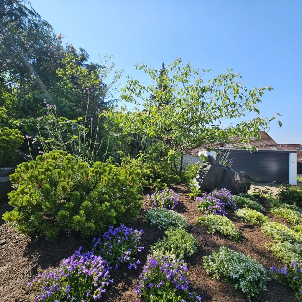natur_stein-garten_landschafts_bauer-gestaltung_garten-baum_pflege-natursteine_f_r_gartenweg-Ehmann-Gartengestaltung-0026