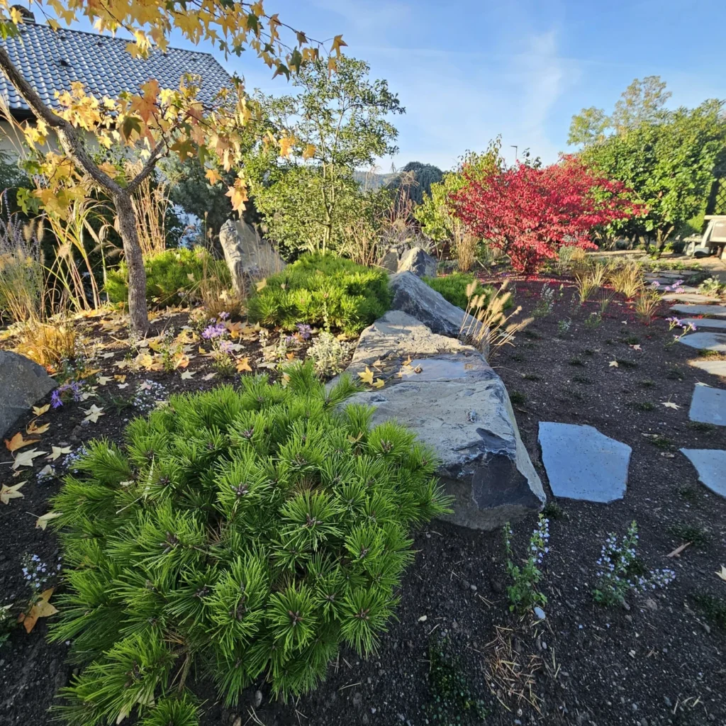 natur_stein-garten_landschafts_bauer-gestaltung_garten-baum_pflege-natursteine_f_r_gartenweg-Ehmann-Gartengestaltung-0030