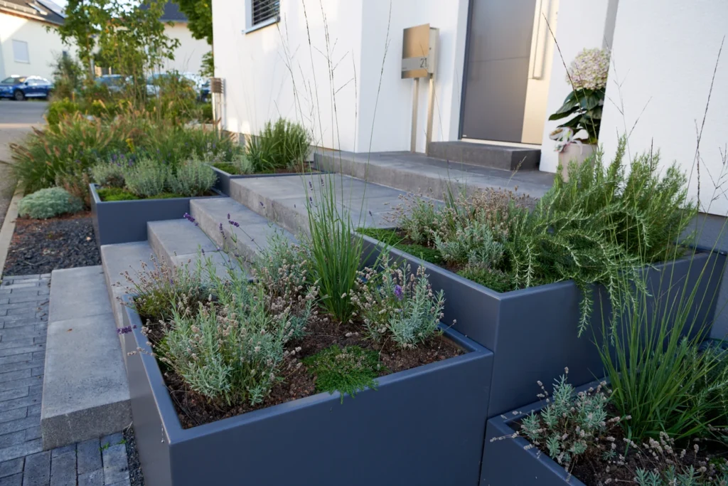 pflanzen-garten-garten_und_landschaftsbau-garten_gestalten-stauden_garten-Ehmann-Gartengestaltung-0006