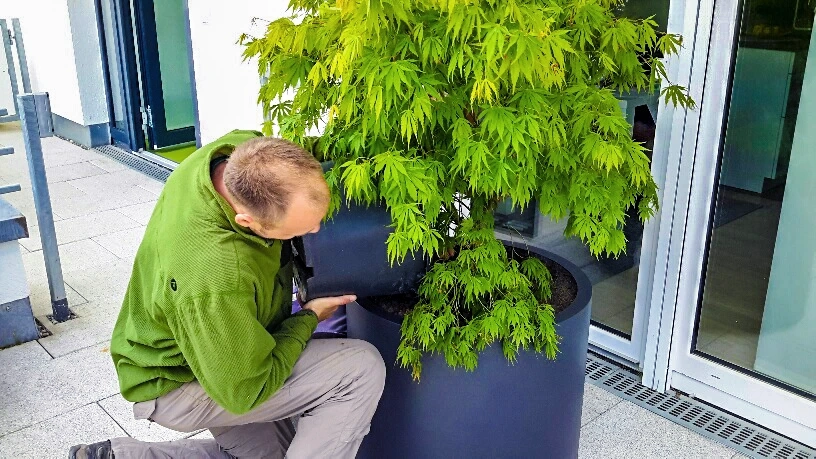 Ehmann-Gartengestaltung-0158