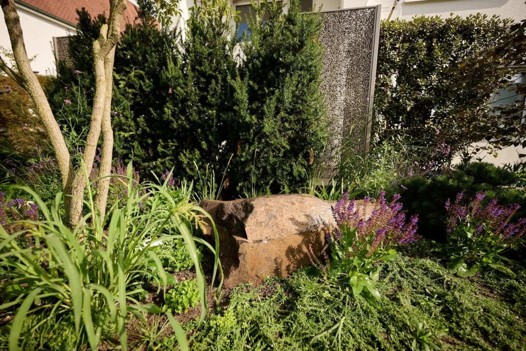 pfarrgarten_sanierung_neugestaltung_in_steinenberg-garten_und_landschaftsbau-Ehmann-Gartengestaltung-0014